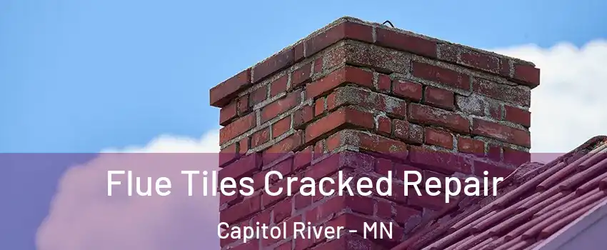 Flue Tiles Cracked Repair Capitol River - MN