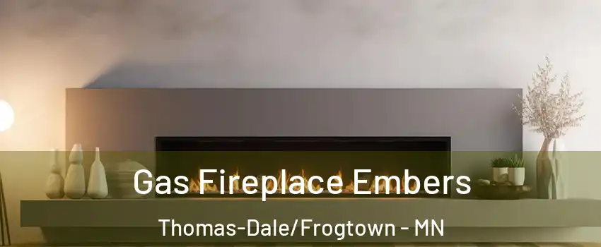Gas Fireplace Embers Thomas-Dale/Frogtown - MN