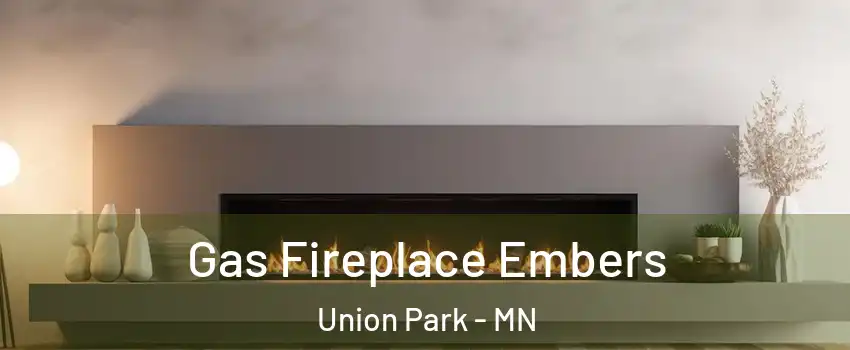 Gas Fireplace Embers Union Park - MN