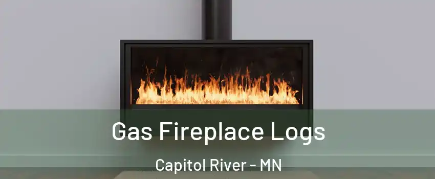 Gas Fireplace Logs Capitol River - MN
