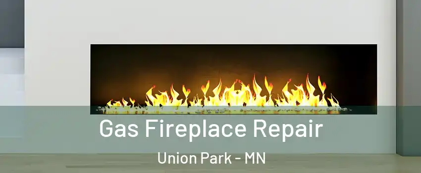 Gas Fireplace Repair Union Park - MN