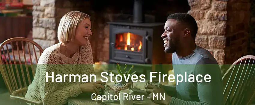 Harman Stoves Fireplace Capitol River - MN