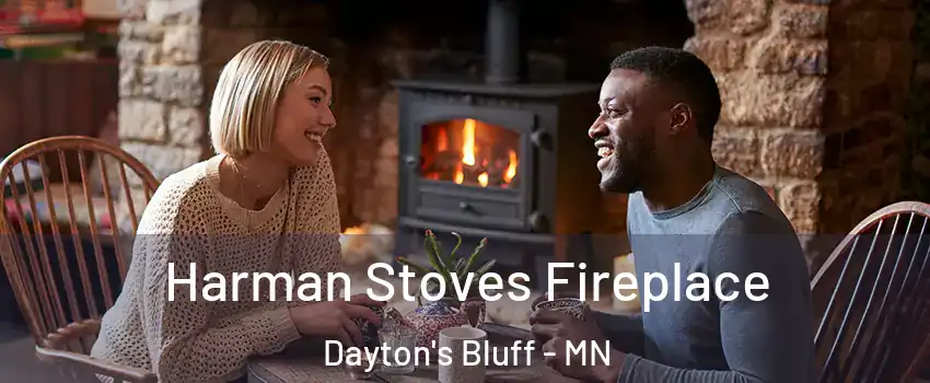 Harman Stoves Fireplace Dayton's Bluff - MN