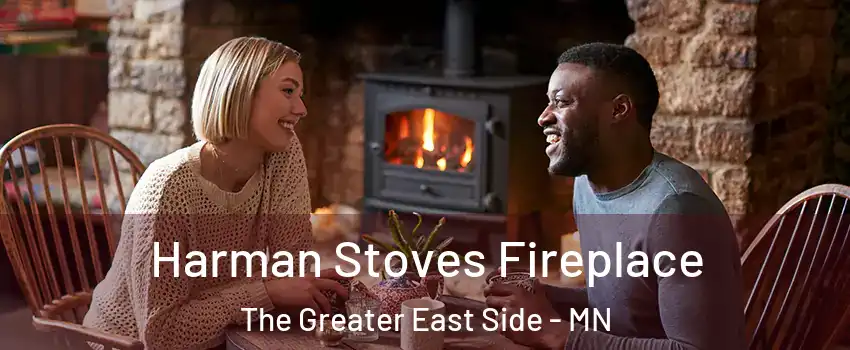 Harman Stoves Fireplace The Greater East Side - MN