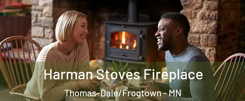 Harman Stoves Fireplace Thomas-Dale/Frogtown - MN