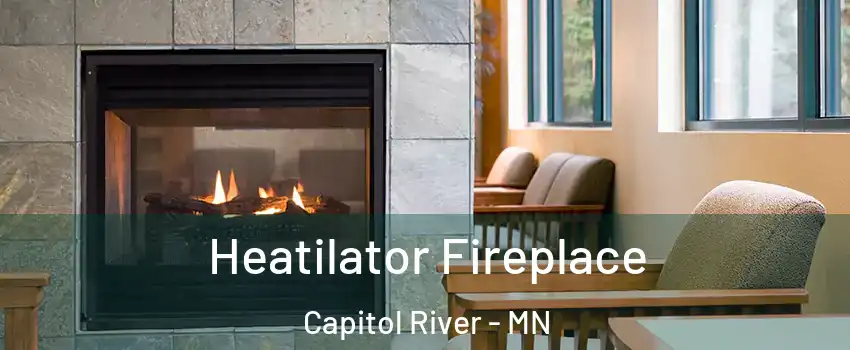 Heatilator Fireplace Capitol River - MN