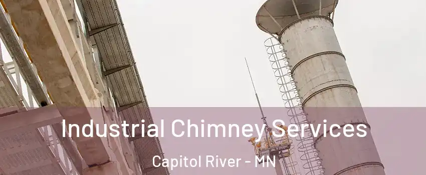 Industrial Chimney Services Capitol River - MN
