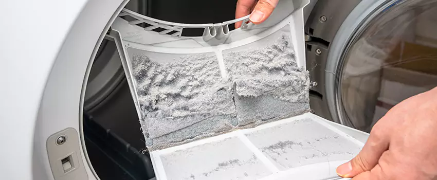 Best Dryer Lint Removal Company in Eastview-Conway-Battle Creek-Highwood Hills, Minnesota
