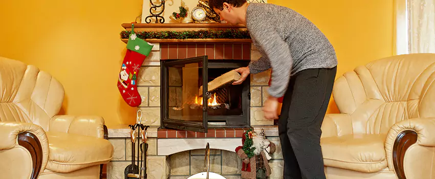 Gas to Wood-Burning Fireplace Conversion Services in Capitol River, Minnesota
