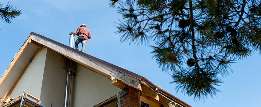 Birds Removal Contractors from Chimney in North End, MN