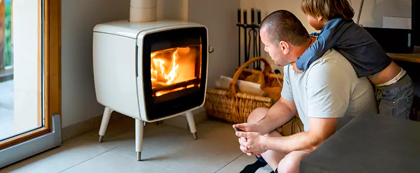 Fireplace Flue Maintenance Services in Capitol River, MN