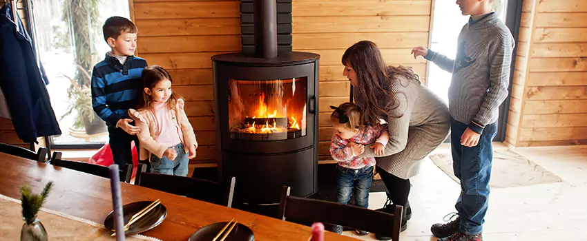 Jøtul Gas Fireplace Inspection Service in West 7th Federation/Fort Road, Minnesota