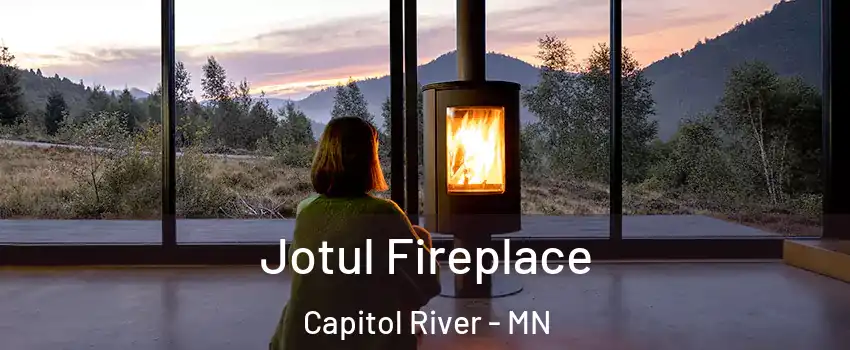 Jotul Fireplace Capitol River - MN