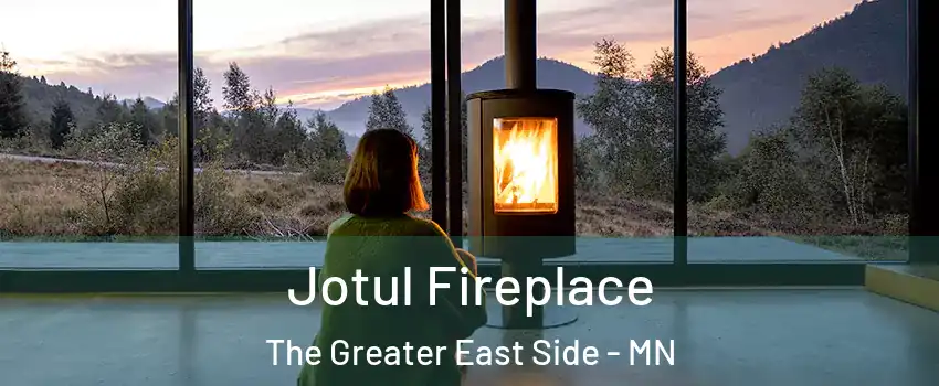 Jotul Fireplace The Greater East Side - MN