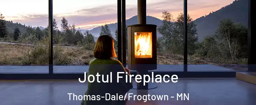 Jotul Fireplace Thomas-Dale/Frogtown - MN