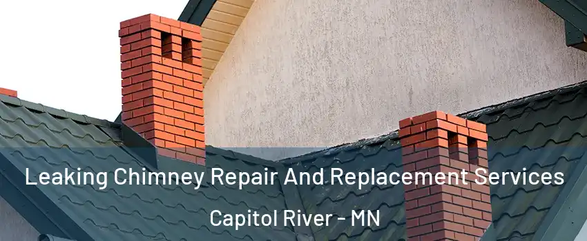 Leaking Chimney Repair And Replacement Services Capitol River - MN