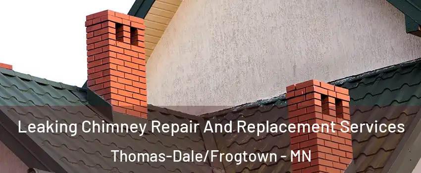 Leaking Chimney Repair And Replacement Services Thomas-Dale/Frogtown - MN