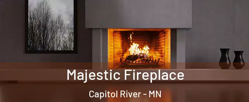 Majestic Fireplace Capitol River - MN
