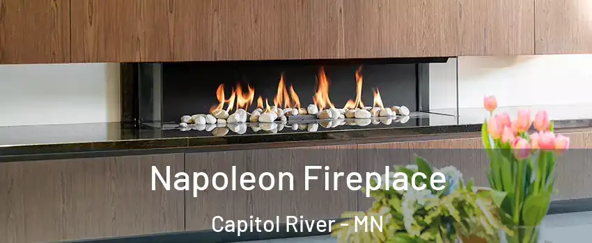 Napoleon Fireplace Capitol River - MN