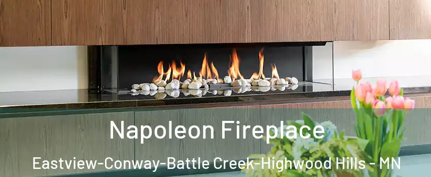 Napoleon Fireplace Eastview-Conway-Battle Creek-Highwood Hills - MN