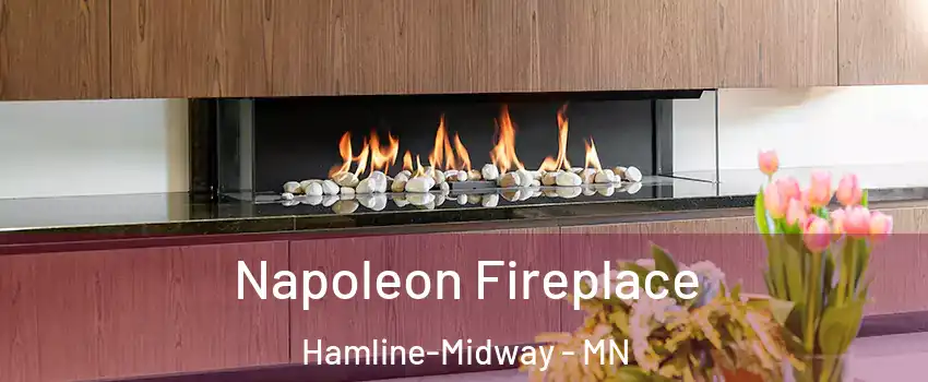 Napoleon Fireplace Hamline-Midway - MN