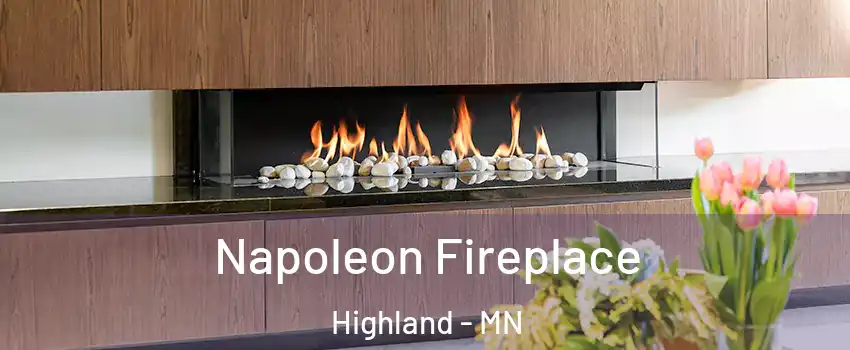 Napoleon Fireplace Highland - MN