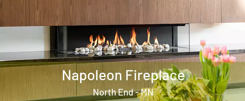 Napoleon Fireplace North End - MN