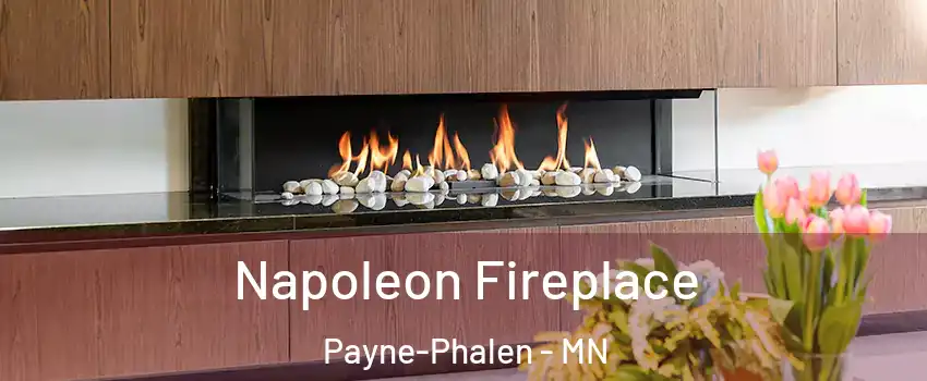 Napoleon Fireplace Payne-Phalen - MN