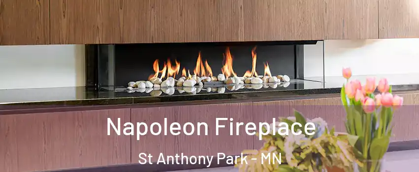 Napoleon Fireplace St Anthony Park - MN