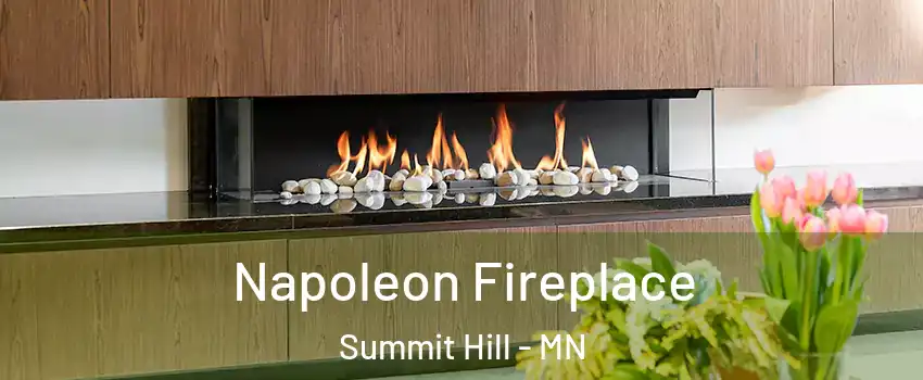 Napoleon Fireplace Summit Hill - MN
