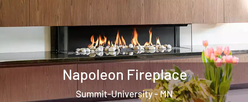 Napoleon Fireplace Summit-University - MN