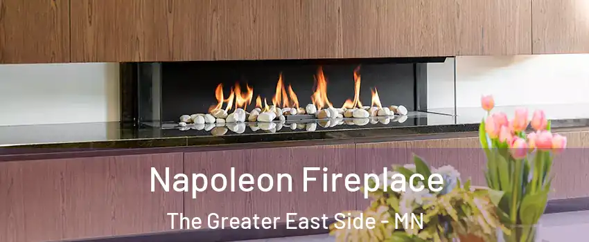 Napoleon Fireplace The Greater East Side - MN