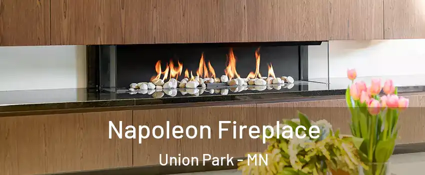 Napoleon Fireplace Union Park - MN