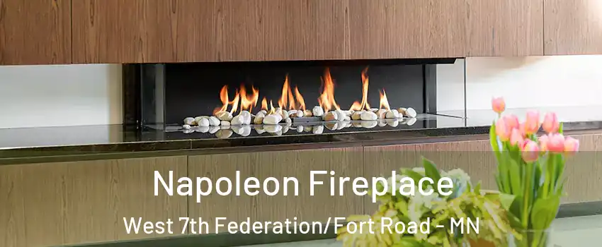 Napoleon Fireplace West 7th Federation/Fort Road - MN