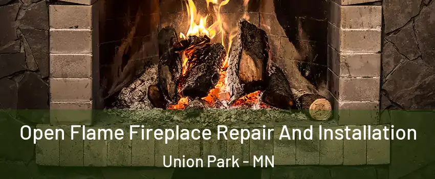 Open Flame Fireplace Repair And Installation Union Park - MN