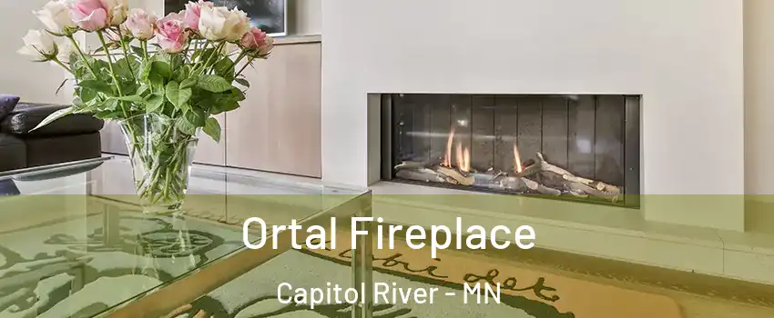 Ortal Fireplace Capitol River - MN