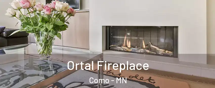 Ortal Fireplace Como - MN