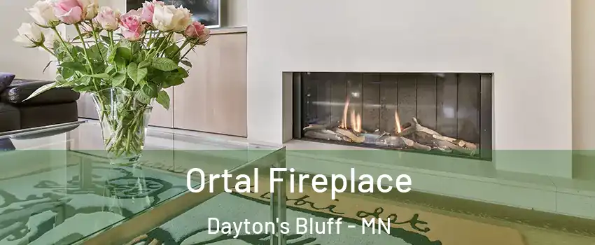 Ortal Fireplace Dayton's Bluff - MN