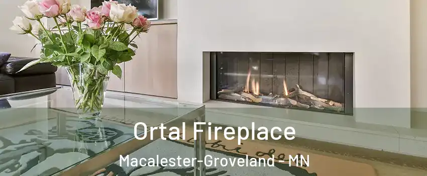 Ortal Fireplace Macalester-Groveland - MN