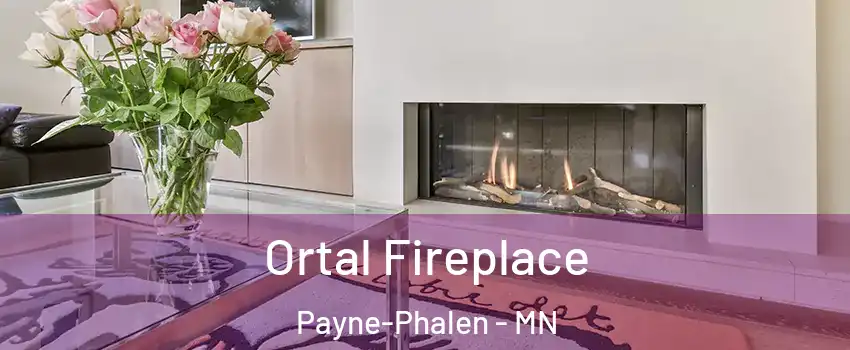 Ortal Fireplace Payne-Phalen - MN