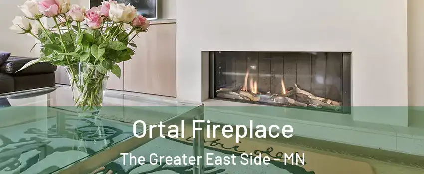Ortal Fireplace The Greater East Side - MN