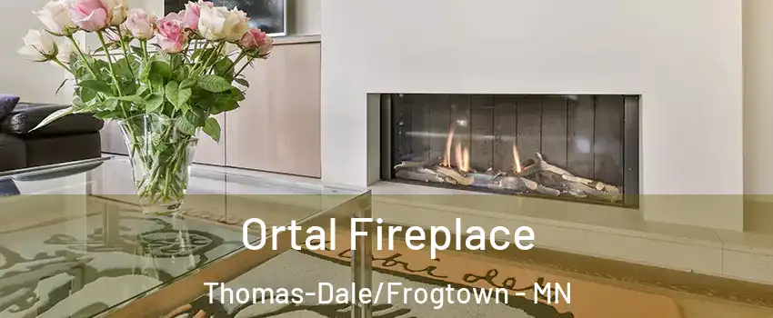 Ortal Fireplace Thomas-Dale/Frogtown - MN