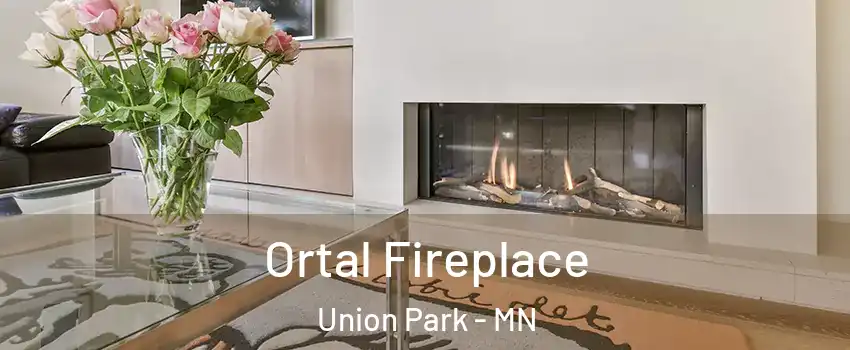Ortal Fireplace Union Park - MN