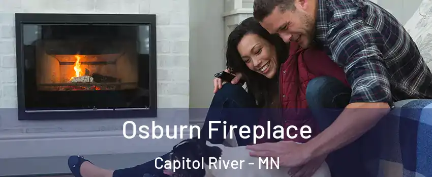 Osburn Fireplace Capitol River - MN