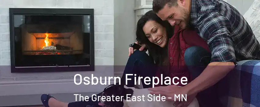 Osburn Fireplace The Greater East Side - MN