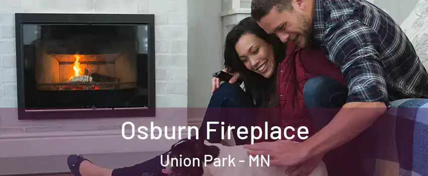 Osburn Fireplace Union Park - MN