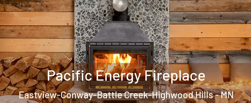 Pacific Energy Fireplace Eastview-Conway-Battle Creek-Highwood Hills - MN