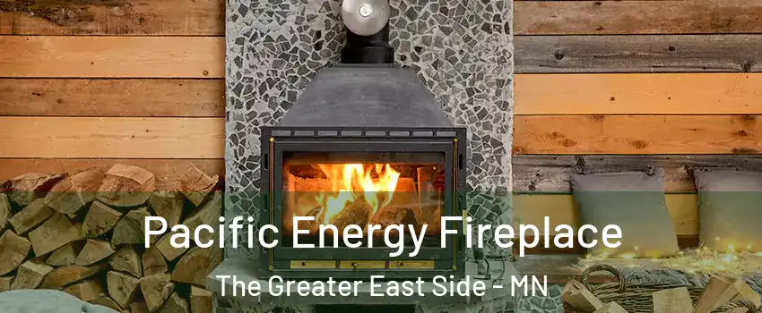 Pacific Energy Fireplace The Greater East Side - MN
