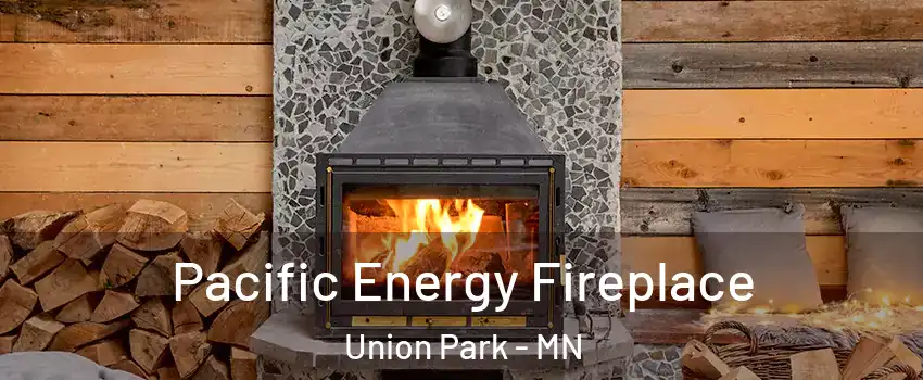 Pacific Energy Fireplace Union Park - MN