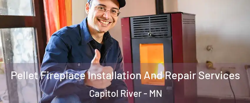 Pellet Fireplace Installation And Repair Services Capitol River - MN